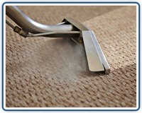 Carpet Steam Cleaners